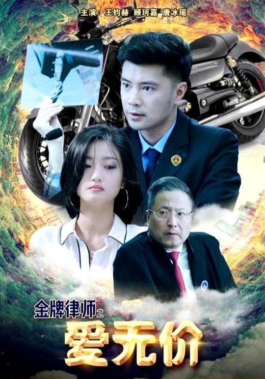 金牌律师之爱无价 (2018)