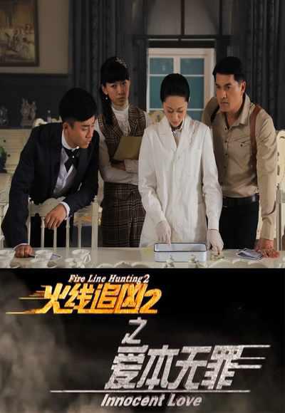 火线追凶2之爱本无罪 (2013)