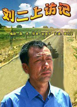 刘二上访记 (2006)