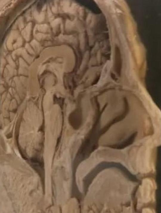 追踪人性之恶 (2012)