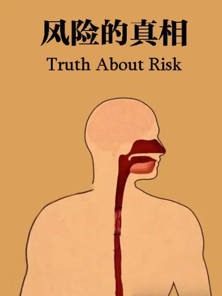 风险的真相 Truth About Risk (2017)