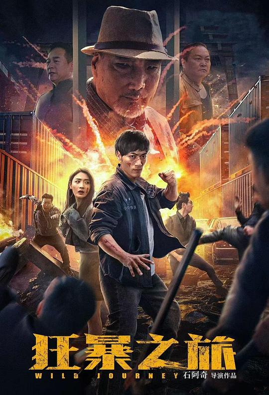狂暴之旅 (2024)