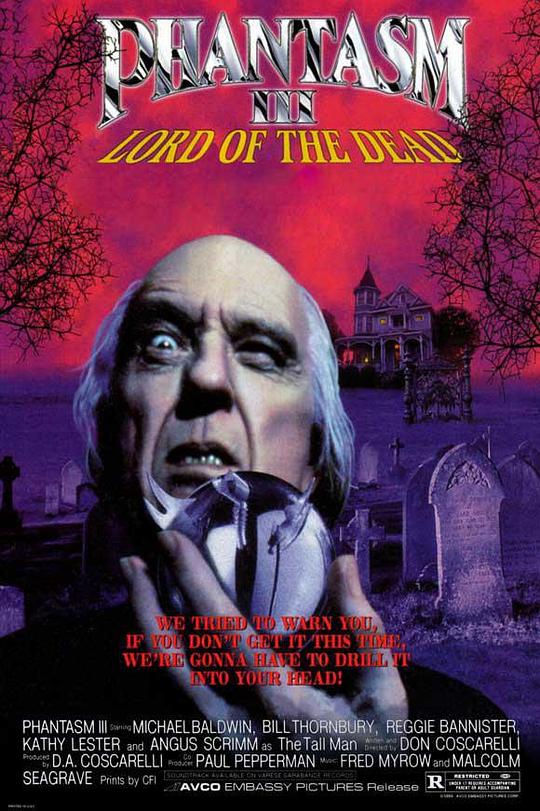 鬼追人3 Phantasm III: Lord of the Dead (1994)