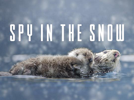 冰雪间谍 Spy in the Snow (2018)