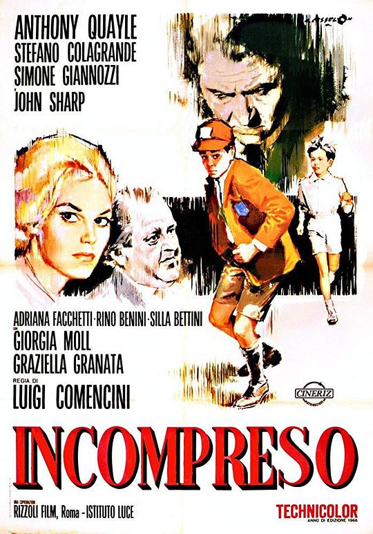 爱的世界 Incompreso (1966)