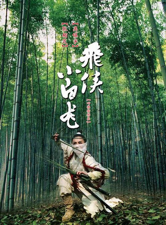 飞侠小白龙 飛俠小白龍 (2004)