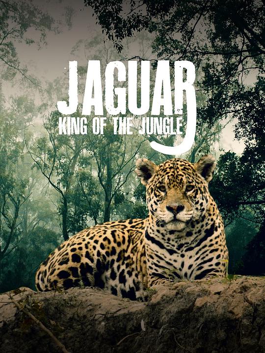 美洲豹的生存挑战 Jaguar: King of the Jungle (2020)
