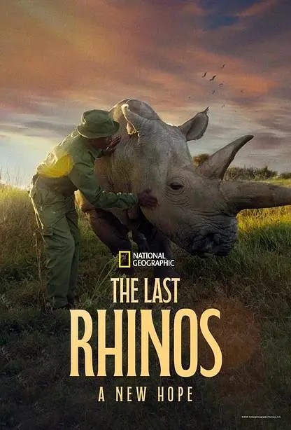 最后的犀牛：新希望 The Last Rhinos: A New Hope (2025)