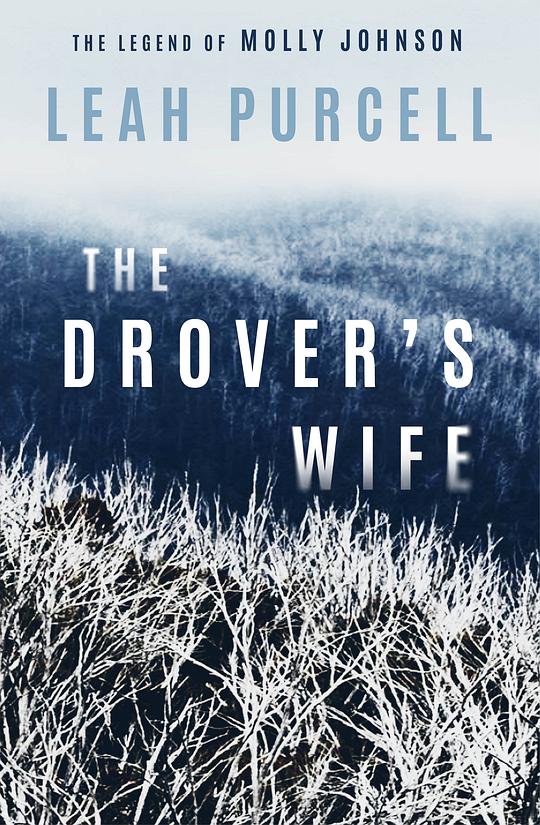 放牧人的妻子：莫莉·约翰逊的传奇故事 The Drover's Wife: The Legend of Molly Johnson (2021)