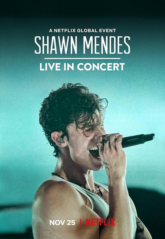 肖恩·门德斯：巡回演唱会纪实 Shawn Mendes: Live in Concert (2020)