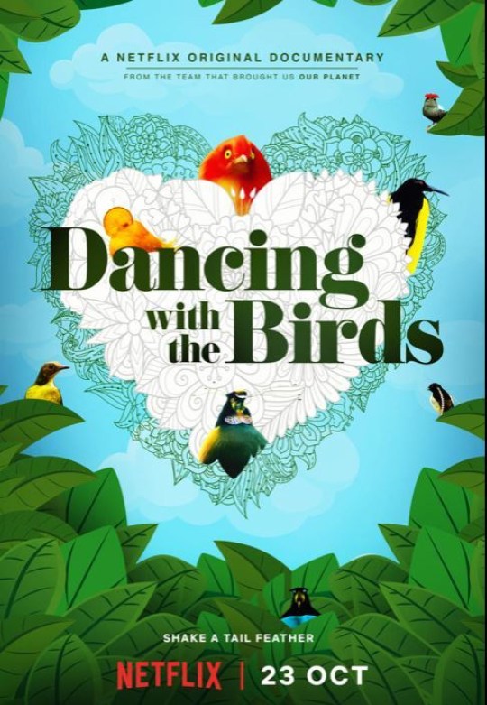 与鸟共舞 Dancing with the Birds (2019)