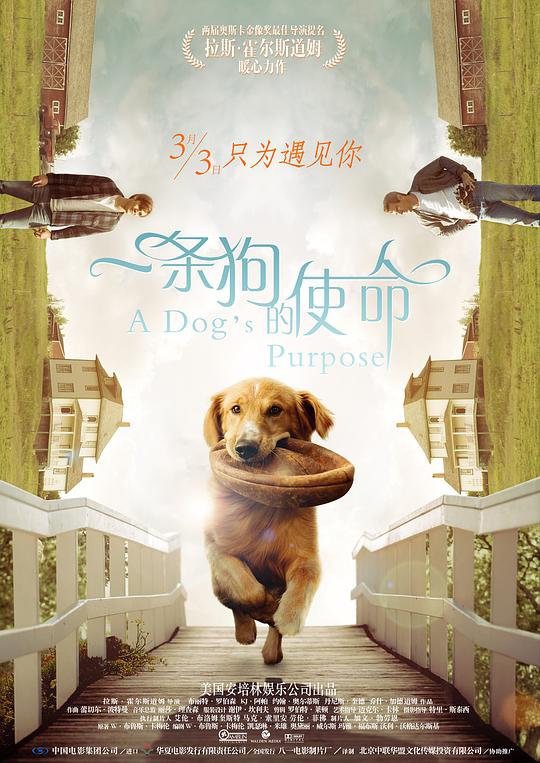 一条狗的使命 A Dog's Purpose (2017)
